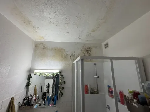 Remise aux normes d’un appartement en plein centre ville de Porto Vecchio, Porto-Vecchio, SOS Multiservices