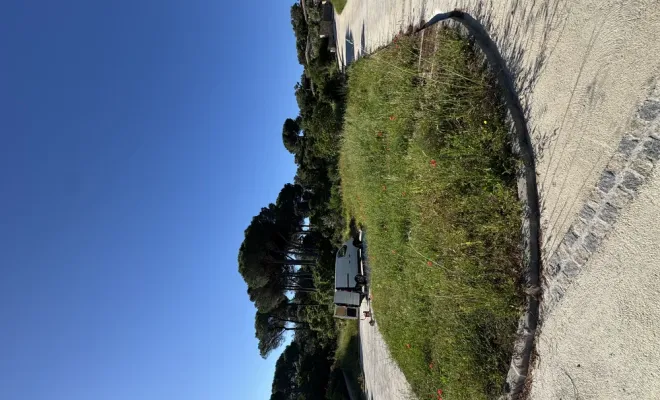 Remise en état d’un domaine à Villata, dans la région de Porto Vecchio, Porto-Vecchio, SOS Multiservices