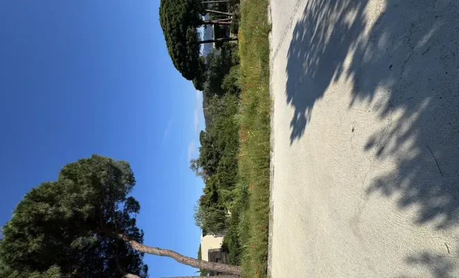 Remise en état d’un domaine à Villata, dans la région de Porto Vecchio, Porto-Vecchio, SOS Multiservices