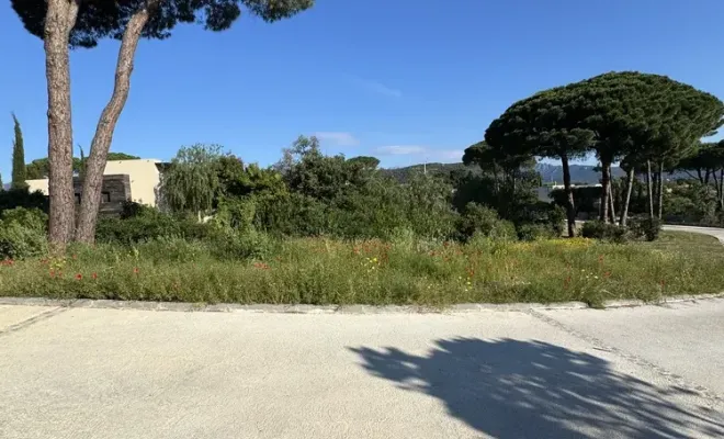 Remise en état d’un domaine à Villata, dans la région de Porto Vecchio, Porto-Vecchio, SOS Multiservices