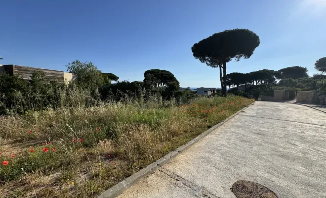 Remise en état d’un domaine à Villata, dans la région de Porto Vecchio, Porto-Vecchio, SOS Multiservices