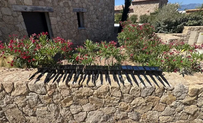 Aménagement d’un chemin privé à Cirindinu (Lecci) - pose de luminaires et débroussaillage, Porto-Vecchio, SOS Multiservices