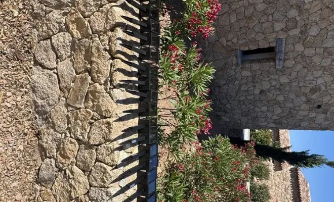 Aménagement d’un chemin privé à Cirindinu (Lecci) - pose de luminaires et débroussaillage, Porto-Vecchio, SOS Multiservices