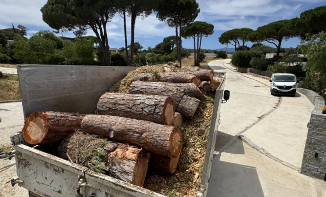 Évacuation déchets verts et troncs d’arbres 