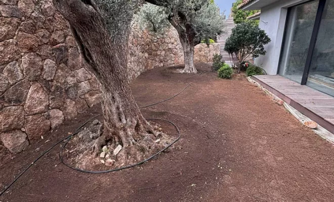 Entretien des jardins et espaces verts, Porto-Vecchio, SOS Multiservices
