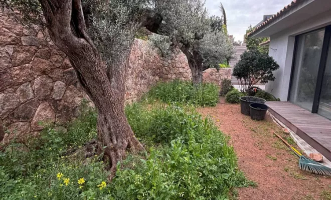 Entretien des jardins et espaces verts, Porto-Vecchio, SOS Multiservices